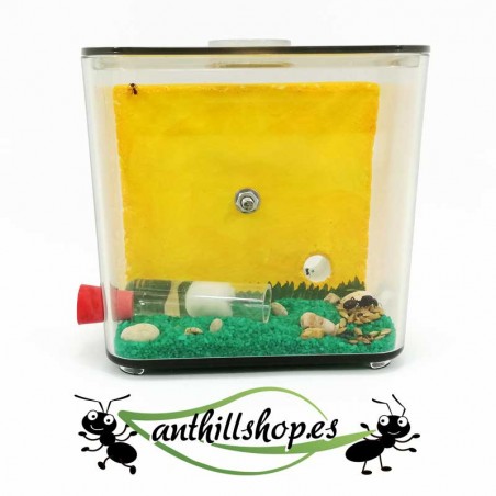 stein L klein mit Dekoration