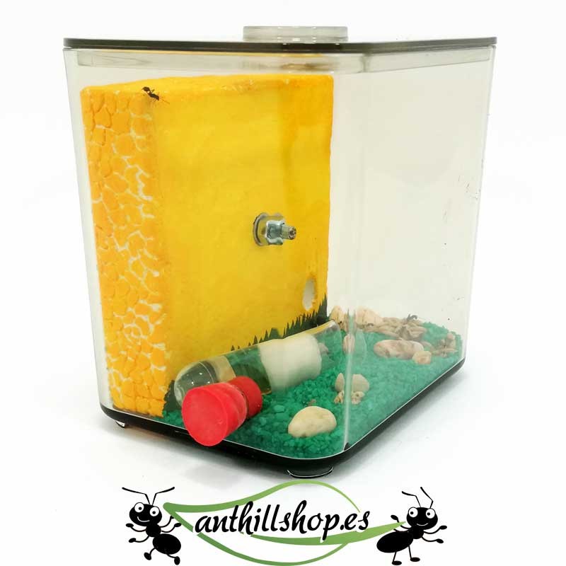 mit integriertem Futterkasten am Heck