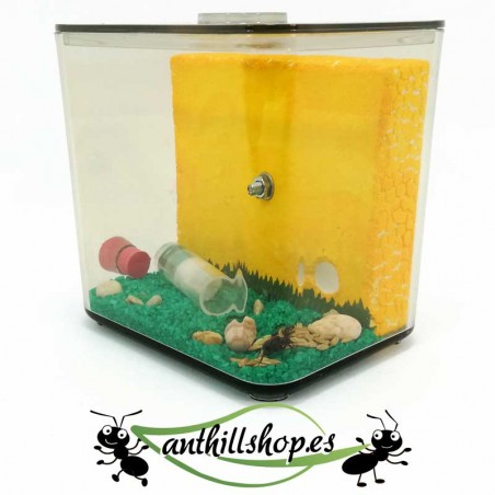 lebensraum für künstliche Ameisen