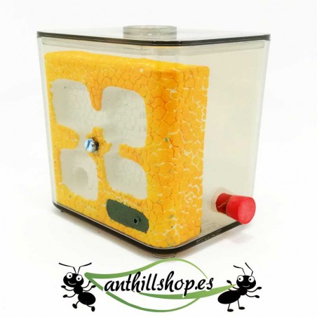 steinameisennest-Set L klein mit Schaumstoff-Befeuchtungssystem