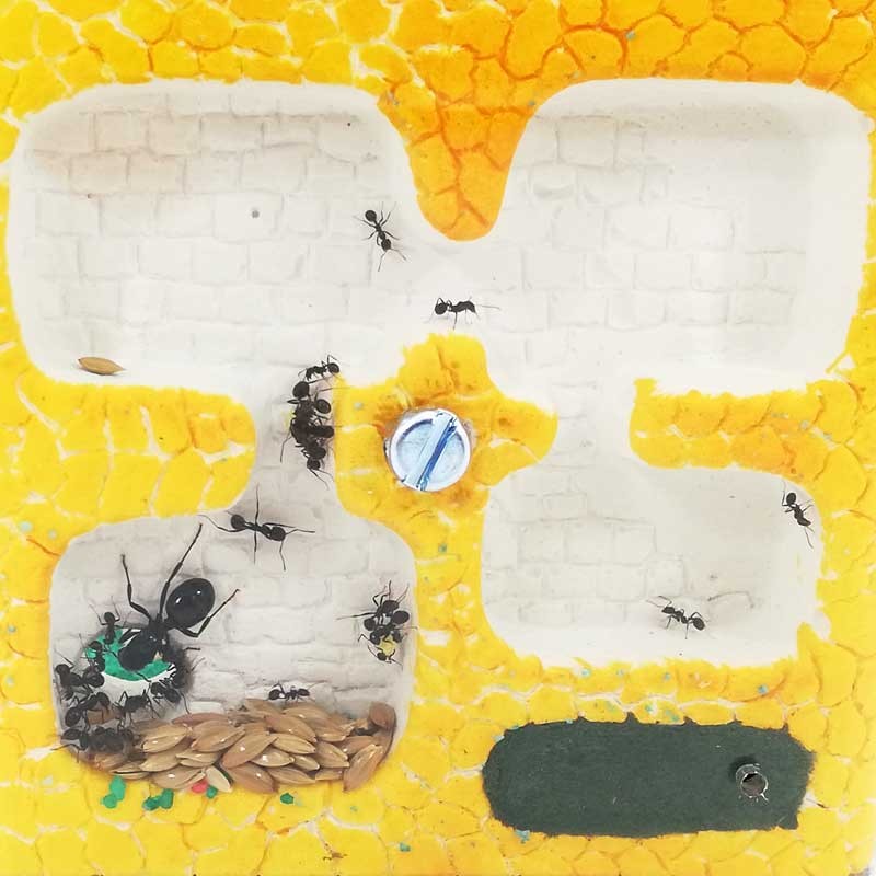 handwerklich gefertigte Ameisenhaufen mit tiefen Galerien, um die Mobilität der Ameisen zu erleichtern