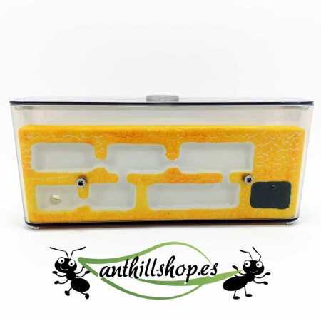 steinameisenhaufen L mittel 2