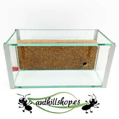 galleries for cork ants