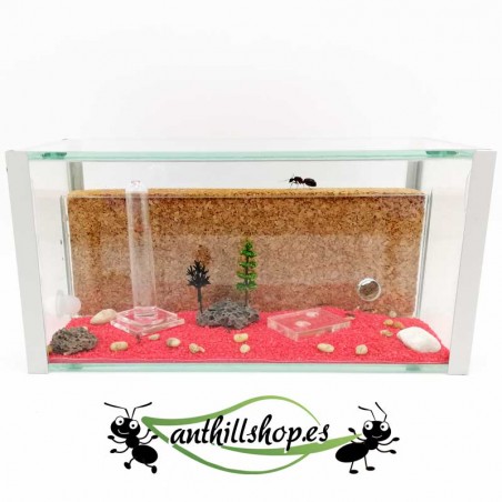 with lid to prevent escape of ants