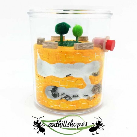 gelbe Ameisenhaufen mit handgefertigten ovalen Galerien