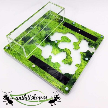 Fourmilières 15x15 mousse éducative verte 2