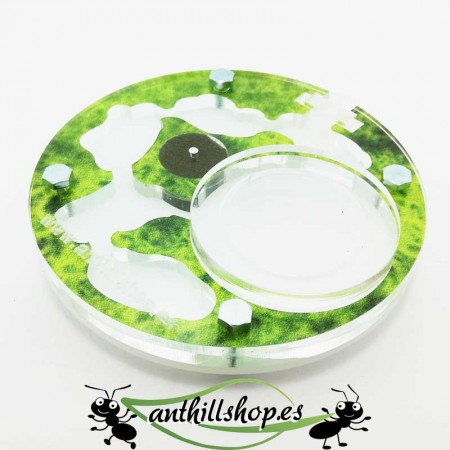 Kit formicaio 10x10 circolare in schiuma acrilica colorata 2