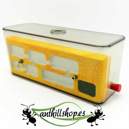 steinameisennest-Set L mittel 2