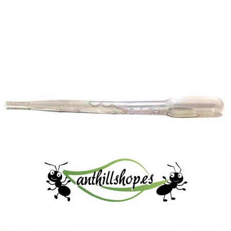 3 ml plastic pipette to feed the ants