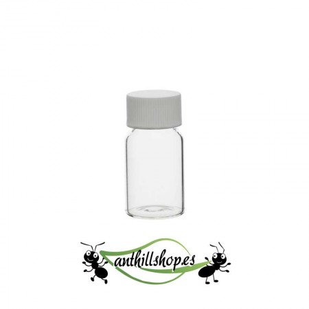 FLASCHE MIT 10 ml SCHRAUBVERSCHLUSS (Glas)