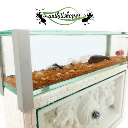 formigueiros com acabamentos artesanais de alta qualidade