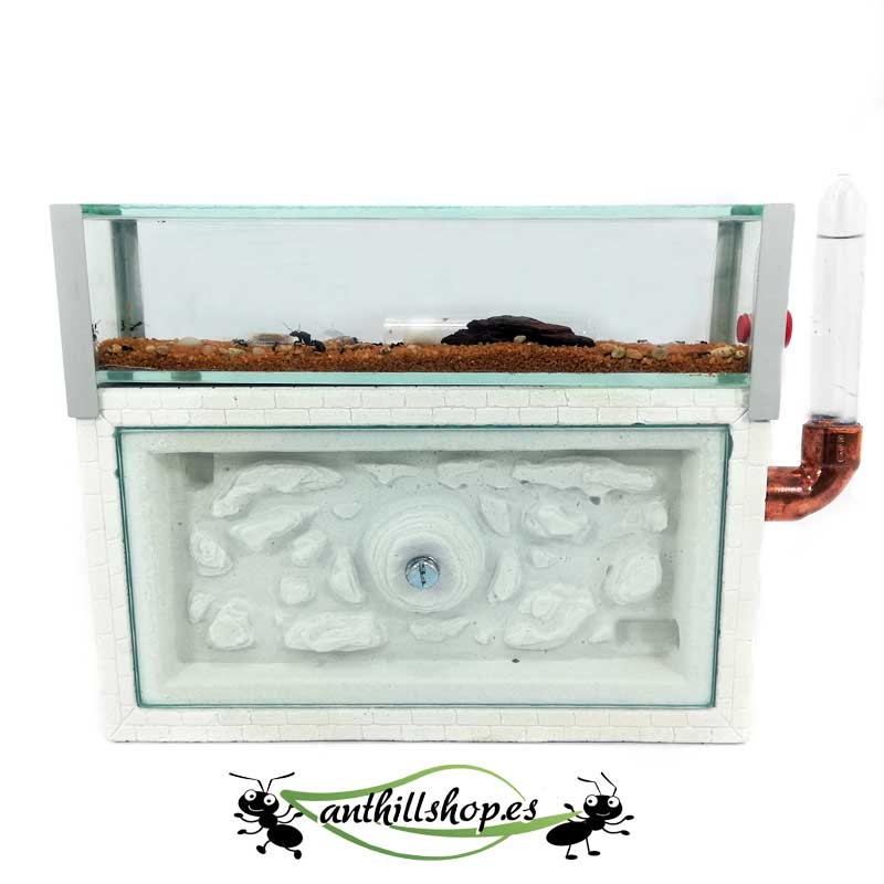 i formicai di questo modello possono essere posizionati verticalmente e orizzontalmente