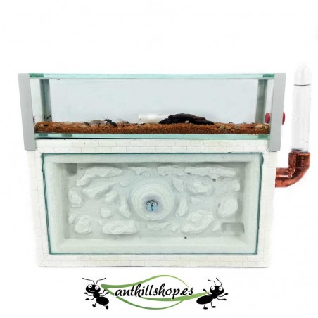 os formigueiros deste modelo podem ser colocados na vertical e na horizontal