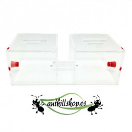 Double foraging box for acrylic ant nests