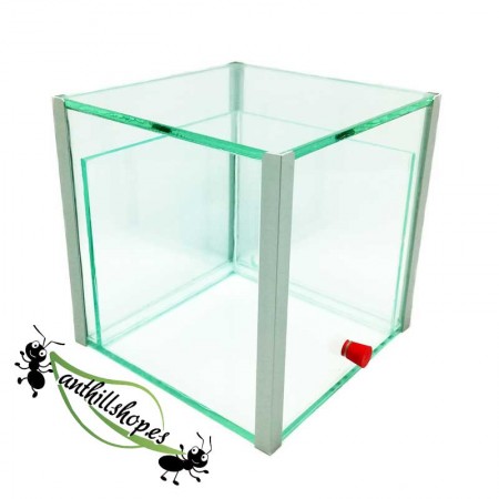 cubo de formigueiros 15x15x15 vidro