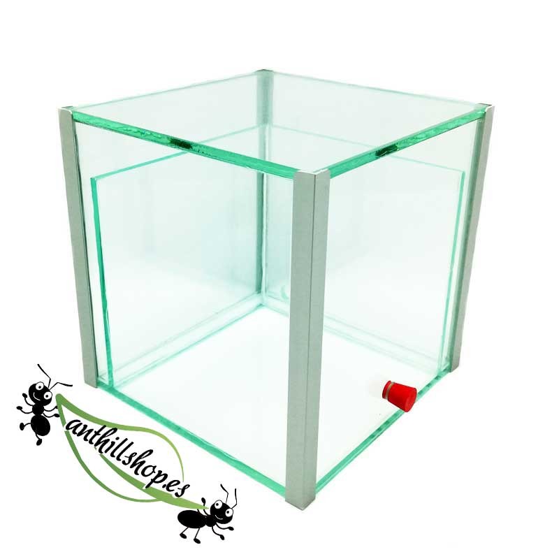 cubo formicai 15x15x15 vetro