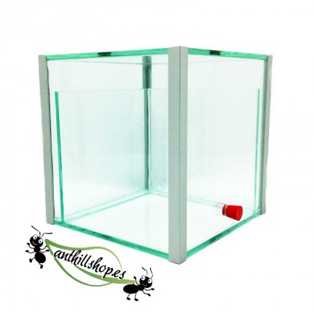 cubo formicai 15x15x15 vetro 2