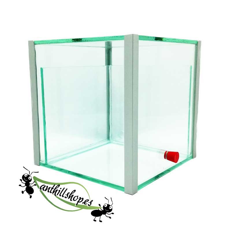 würfelförmige Ameisenfarmen mit zentral integrierter Futterbox