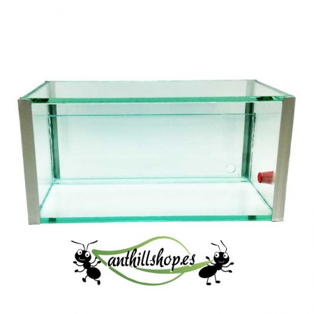 glasameisenhaufen 1 aus Sand für die Ameisenzucht 2