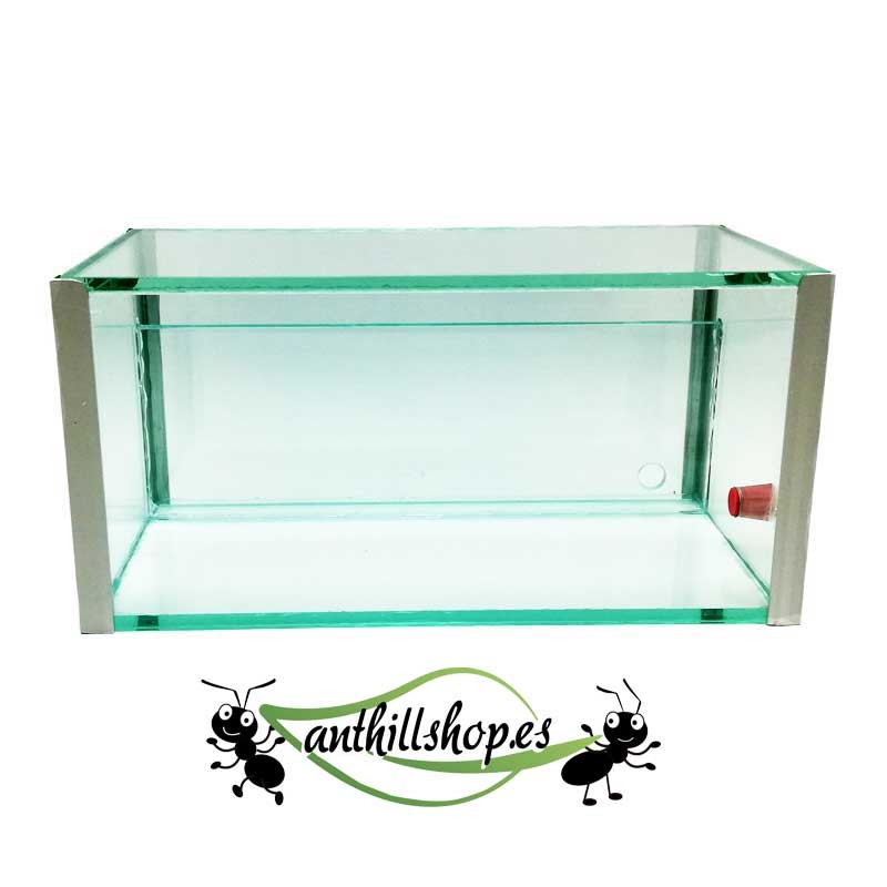 20x10x10-Box mit einem 1-cm-Sandwich für die natürlichen Galerien der Ameisen