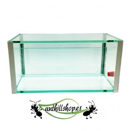 20x10x10-Box mit einem 1-cm-Sandwich für die natürlichen Galerien der Ameisen