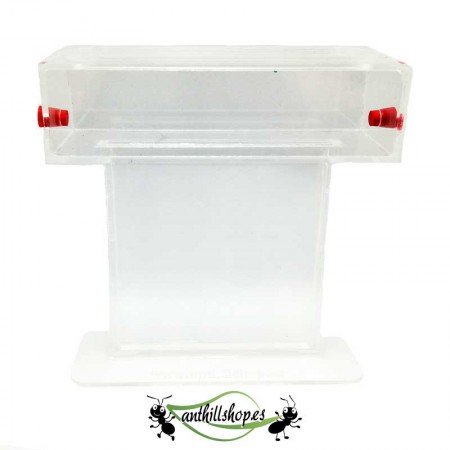 fourmilières de sable 2