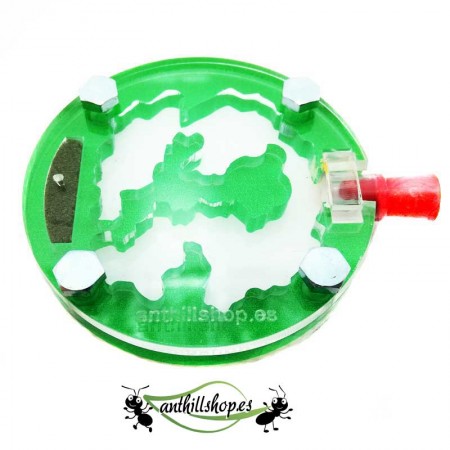 ANT RIESIGE 6 X 6 RUNDE SCHAUM ACRYL 2