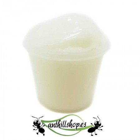 Futterpaste für Ameisen 2