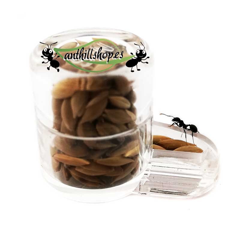 Mini seed dispenser