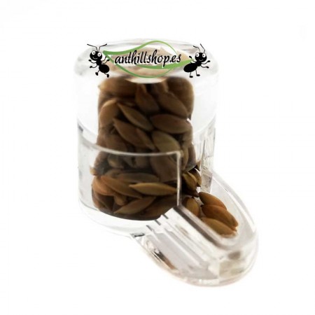 Mini seed dispenser 2