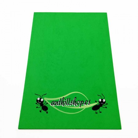 DÉCORATION POUR 【HORMIGUERS】 2