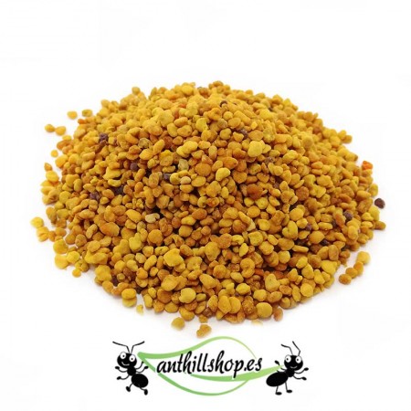 BIENENPOLLEN FÜR 【ANTS】