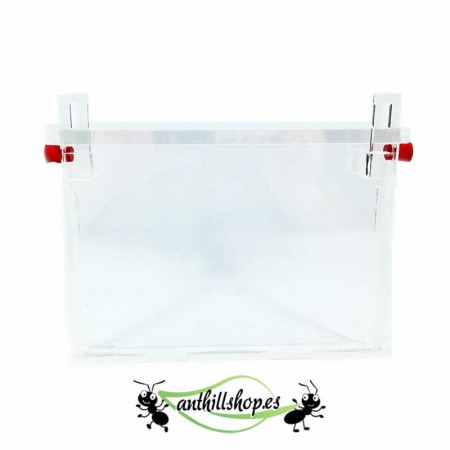 SANDWAND ACRYL AMEISENHALTERUNGEN 2