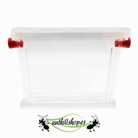 SAND ACRYL AMEISE VERLETZT 2