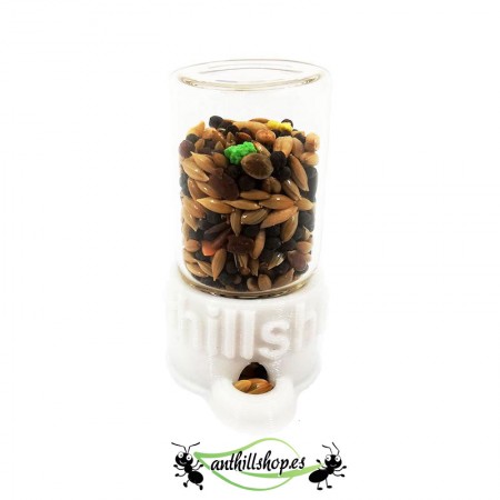 semillero para hormigueros 2