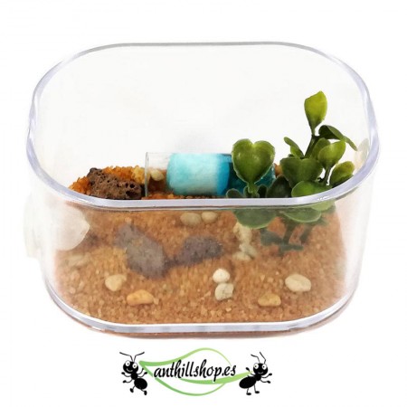 foraging box for anthills 2