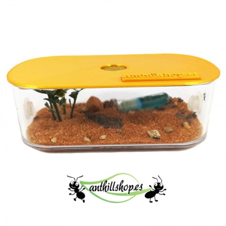 ▶Mittlere Futterbox mit 3D-Deckel für 【Ameisenhaufen】