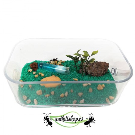 ▶Mittlere Futterbox mit 3D-Deckel für 【Ameisenhaufen】