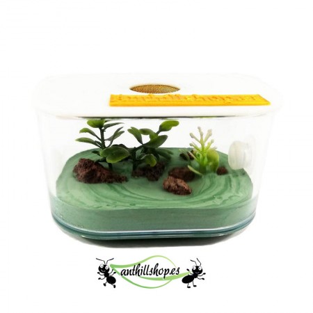 Boîte de fourrage pour fourmilières 2