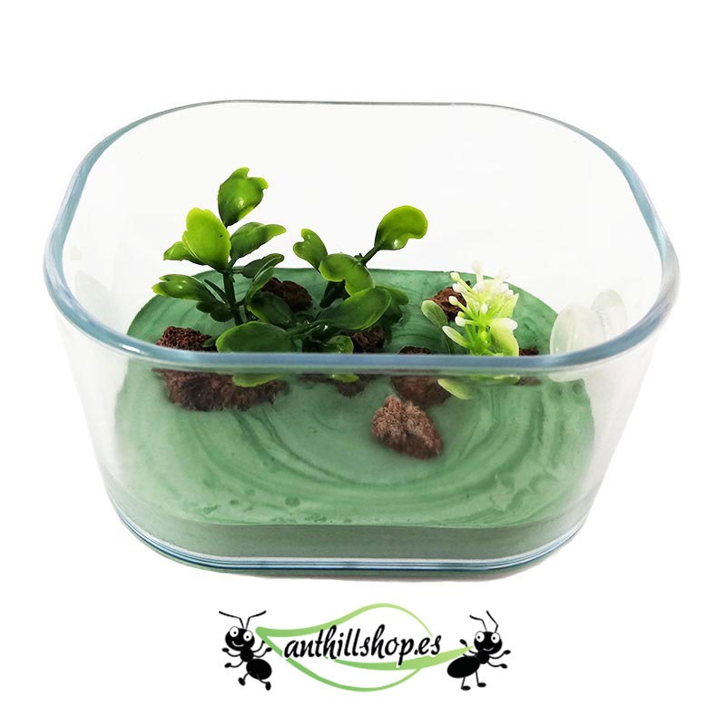 inklusive Dekoration für Ameisenhaufen