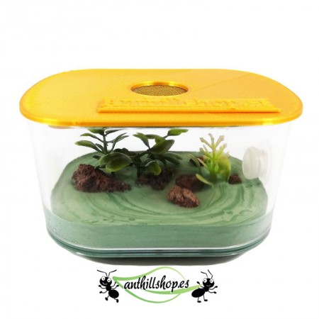 Futterbox für Ameisenhaufen