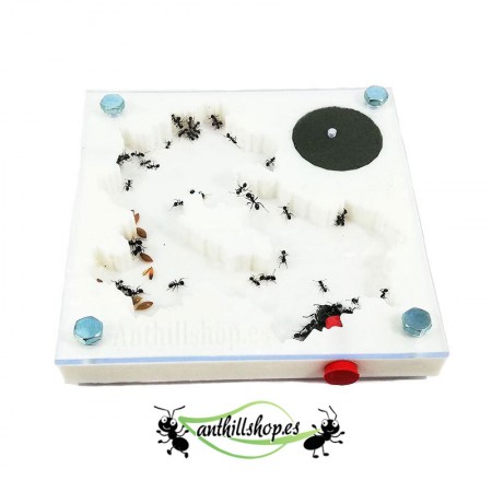 【Ameisenhaufen】 3D 7 x 7 cm Schaumstoff ist ideal für Ameisenkolonien.
