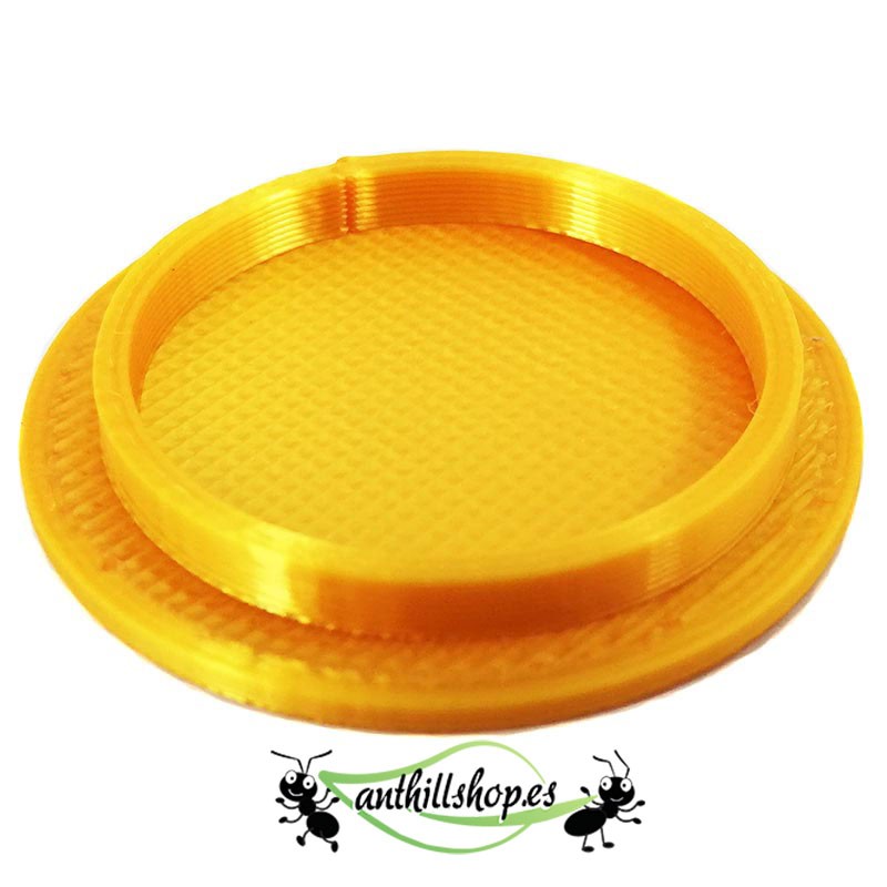 ant feeding tray