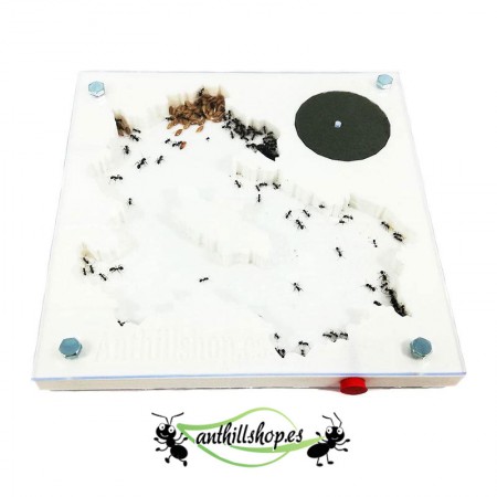 【Ameisenhügel】 3D 15 x 15 cm Schaumstoff ist ideal für Ameisenkolonien.