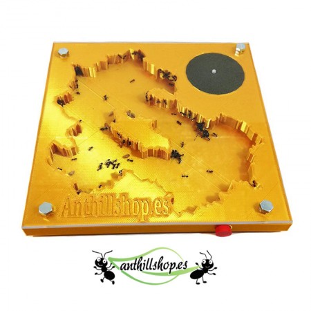 【Ameisenhaufen】 3D 15 x 15 cm Goldschaum ist ideal für Ameisenkolonien.