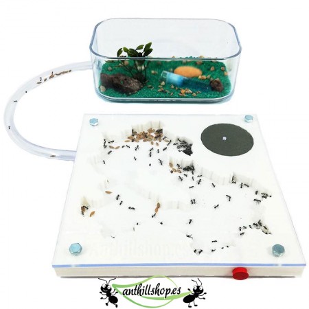 günstige 3D-Ameisenhaufen für Kinder 2