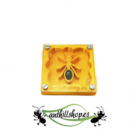 【Hormigueros】 3d HORMIGA 7 x 7 cm espuma color oro con caja de forrajeo