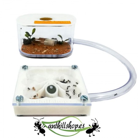 【Ameisenhaufen】 3D AMEISE 7 x 7 cm weißer Schaumstoff mit Futterbox 2