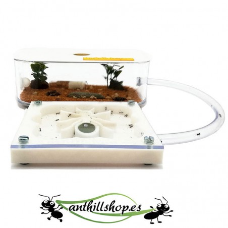 【Ameisenhaufen】 3D ANT-Kit 10 x 10 cm weißer Schaumstoff für Kinder.