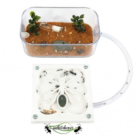 【Ameisenhaufen】 3D ANT-Kit 10 x 10 cm weißer Schaumstoff für Kinder.